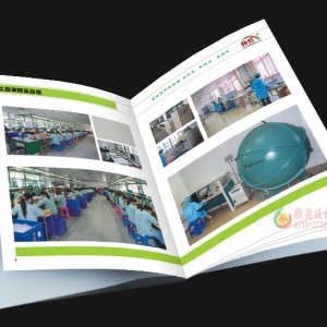 石巖畫冊(cè)設(shè)計(jì)印刷與軟件開發(fā) 傳統(tǒng)工藝與現(xiàn)代技術(shù)的跨界融合