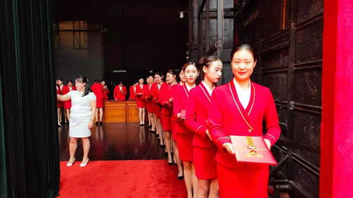 洛陽職業(yè)技術(shù)學(xué)院禮儀隊(duì)圓滿完成洛陽市七一表彰大會頒獎禮儀服務(wù)與軟件開發(fā)